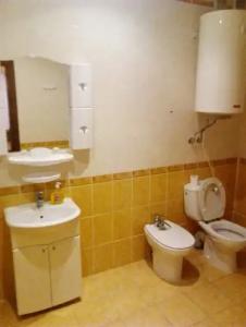 Днепровские сосны - 14