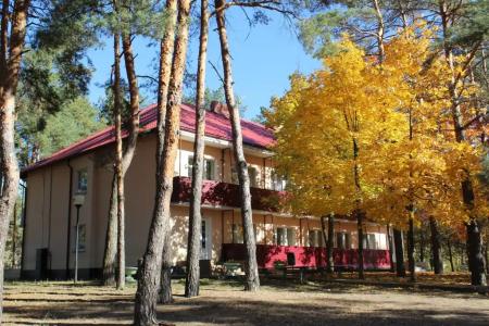 Днепровские сосны