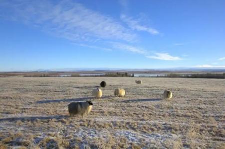 Austurey cottages - 41