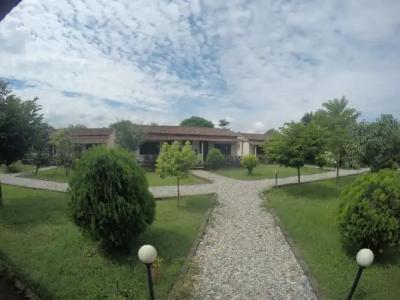 Baghmara Wildlife - 10