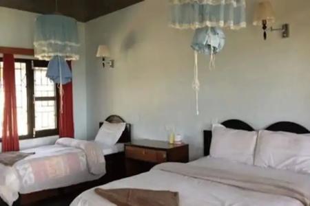 Baghmara Wildlife - 3