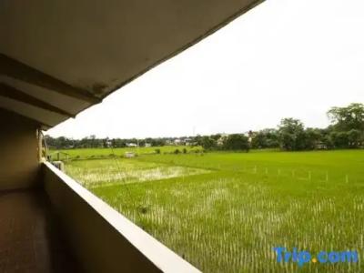 Baghmara Wildlife - 42