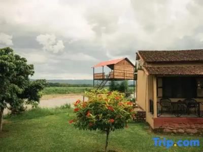 Baghmara Wildlife - 39