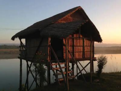 Baghmara Wildlife - 36