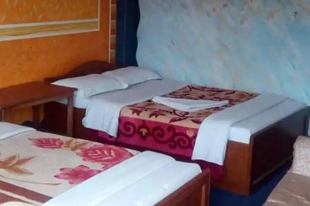 Highland Comfort - 1