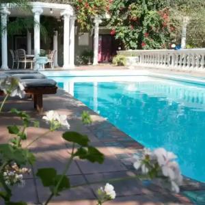 Utopia Boutique - 45