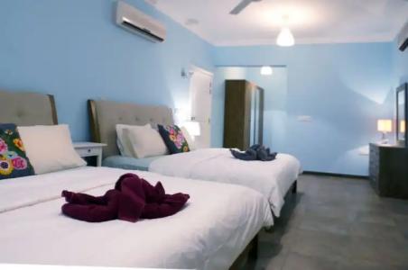 Behlys Boutique - 15