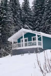 Домик у леса с видом на озеро - 1