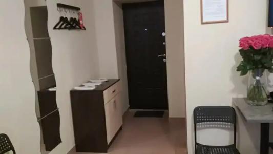 Samsonov Ligovskiy 48 - 17