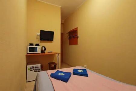 Samsonov Ligovskiy 48 - 5