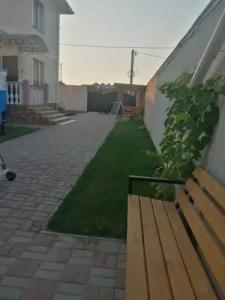 Виноград - 4