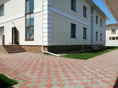 Виноград - 5
