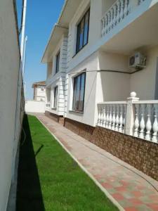 Виноград - 0