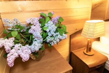 Светлый Терем - 68