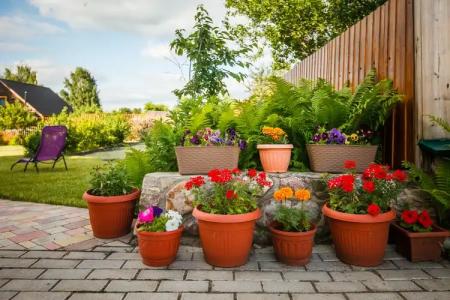 Светлый Терем - 36