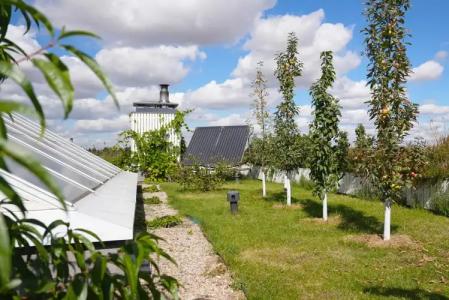 Акварель - 147