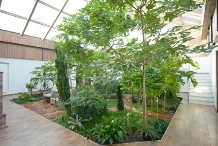 Акварель - 150