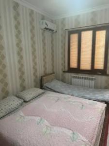 Бадамзар - 17