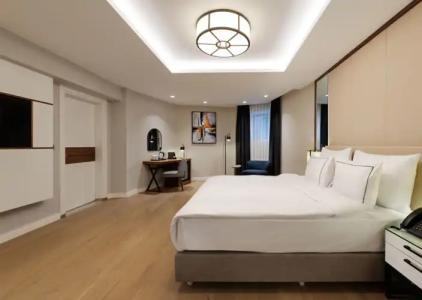 Gleam Collection - 70