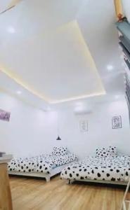 Cat's - 38