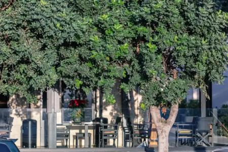 GD Gallery Suites - 6