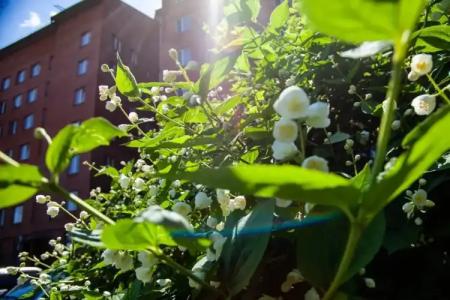 Железнодорожник - 6