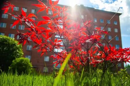 Железнодорожник - 15