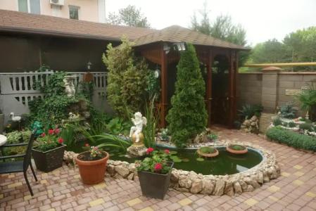 Золотой лев - 13