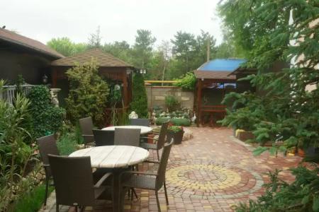 Золотой лев - 16