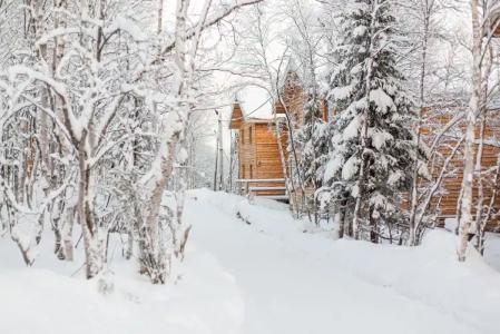 Арктик Хоум - 1