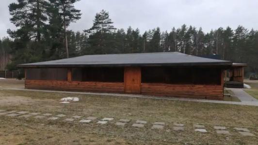 Лесная поляна - 12