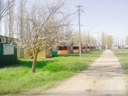 Бриз - 37