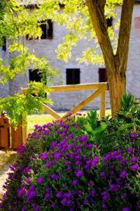 Castello di Titignano - 7