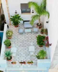 Casa dell'Aromatario b&b - 48