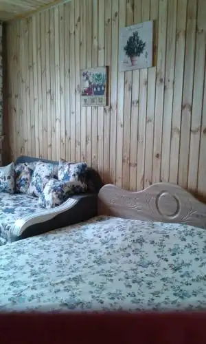 Свитаточ - 10