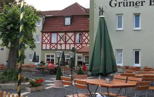 Traditionsgasthof Grüner Baum - 0