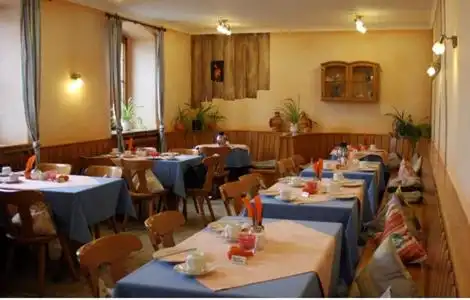 Traditionsgasthof Grüner Baum - 20