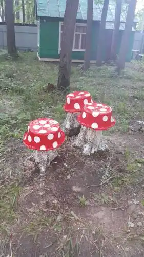 Зеленый Бор - 6