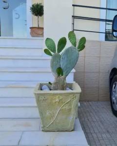 Chateau de Georges - 25