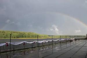 Лесная сказка