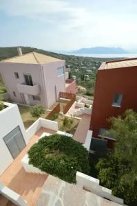 Aeginas Chromata - 0