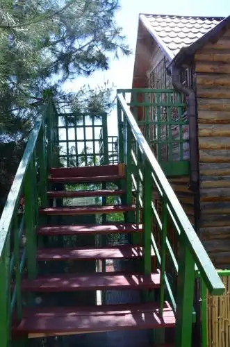 Фазенда Виноград - 65