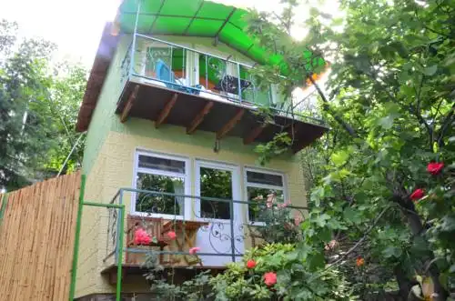 Фазенда Виноград - 118