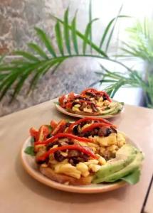 Cressa - Adults Only - 101