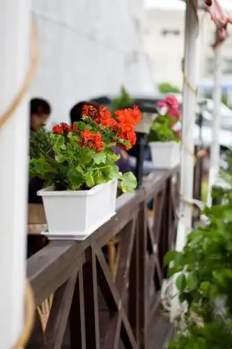 Салют Девелопмент - 26