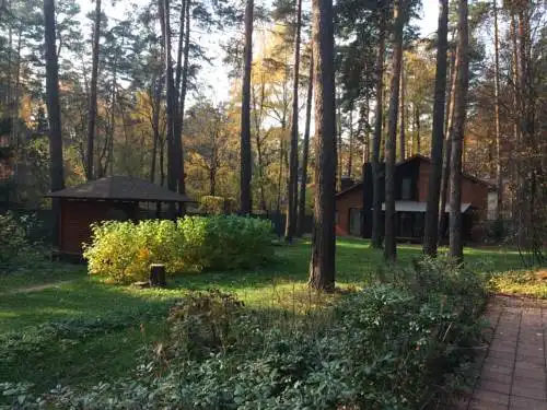 в Сосновом бору - 17