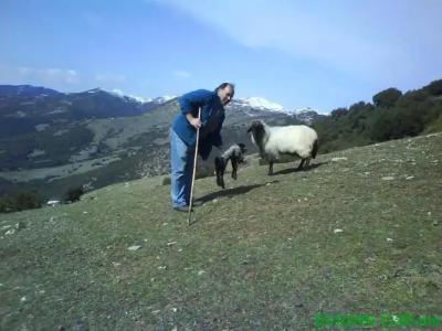 Luxury Chalet Vila on Mountain Top with great view - 25