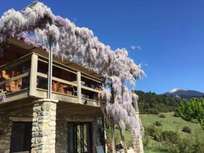Luxury Chalet Vila on Mountain Top with great view - 20