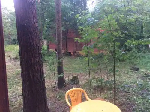 Истралайф - 73