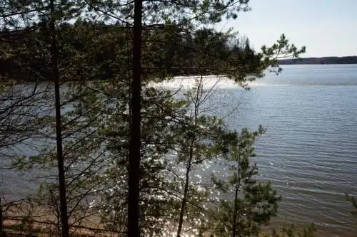 Истралайф - 8